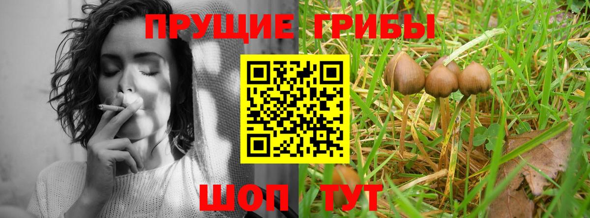 Галлюциногенные грибы ЛСД  Псилоцибиновые грибы мицелий  Ханты-Мансийск  Вход с VPN 